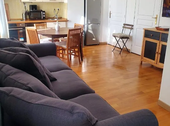 Le Michelangelo - Place Massena Apartment