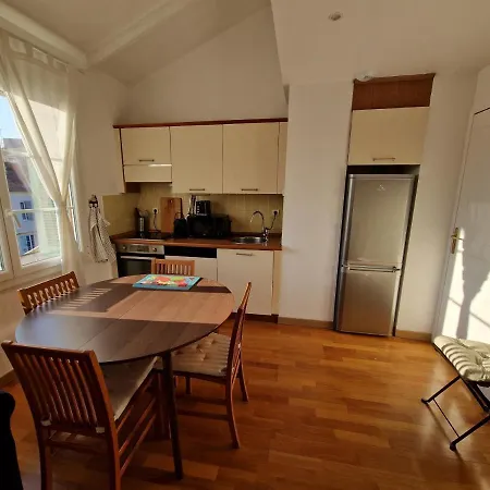 Le Michelangelo - Place Massena 아파트