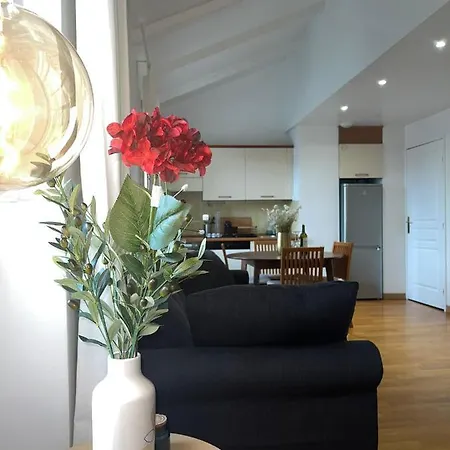 Apartmán Le Michelangelo - Place Massena