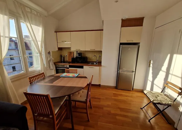 Le Michelangelo - Place Massena 아파트