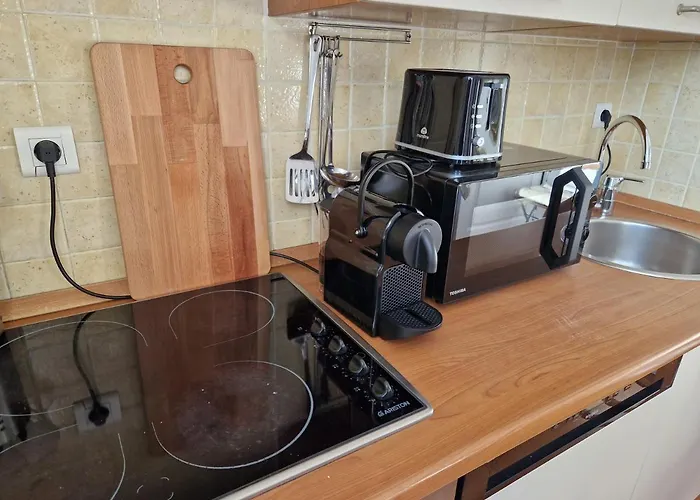 Le Michelangelo - Place Massena 아파트 니스