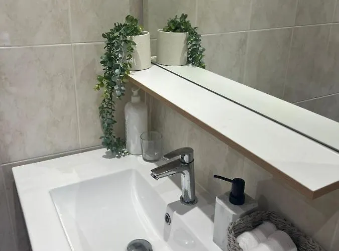 Le Michelangelo - Place Massena 아파트